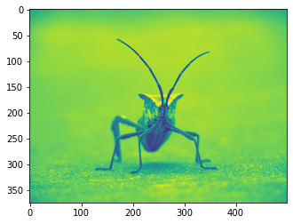 ../../_images/notebooks_Images_1-ImagePlots_19_0.png