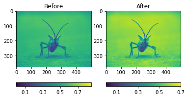 ../../_images/notebooks_Images_1-ImagePlots_21_1.png