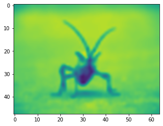 ../../_images/notebooks_Images_1-ImagePlots_27_0.png